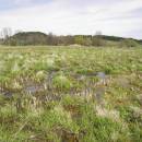 Rýžovka, 29.4.2012, foto Vojtěch Kodet
