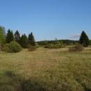 U Farského lesa, 6.5.2016, foto Vojtěch Kodet
