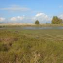 PP Starý Přísecký rybník, 22.10.2010, foto Vojtěch Kodet