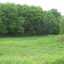 Pod Čertovým kamenem, 23.5.2010, foto Vojtěch Kodet