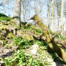 PR Jedlový les a údolí Rokytné, 20.4.2015, foto Vojtěch Kodet