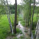 Dolnohuťský mokřad, 27.5.2006, foto Vojtěch Kodet