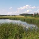 Starý ryb., PP Ptáčovské rybníky, 16.7.2009, foto Vojtěch Kodet