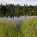 Malý Pařezitý rybník, 4.8.2008, foto Vojtěch Kodet