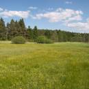 U Šeredů, 24.5.2012, foto Vojtěch Kodet