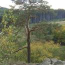 PP Zaječí skok, 10.10.2004, foto Vojtěch Kodet