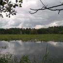 Velký Klátův rybník, 24.6.2010, foto Vojtěch Kodet