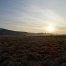 Olešský rybník, 31.3.2017, foto Vojtěch Kodet