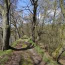 Kunický rybník, 20.4.2016, foto Vojtěch Kodet