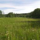 PR Rašeliniště Loučky, 7.6.2012, foto Vojtěch Kodet