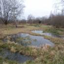 Pístovské mokřady, 14.1.2015, foto Vojtěch Kodet
