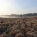 Olešský rybník, 31.3.2017, foto Vojtěch Kodet