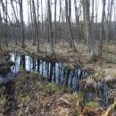 Olešský rybník, 31.3.2017, foto Vojtěch Kodet