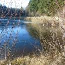 Popický rybník, 29.11.2016, foto Vojtěch Kodet