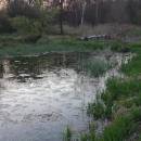 Kunický rybník, 18.4.2016, foto Vojtěch Kodet