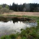 ryb. Dolní Bradlo, 2.5.2015, foto Vojtěch Kodet