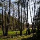 Pod Rudolfovou hájovnou, 30.4.2012, foto Vojtěch Kodet