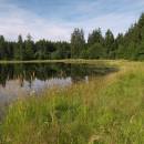 Malý Pařezitý rybník, 4.8.2008, foto Vojtěch Kodet