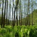 PR Údolí Brtnice, 22.5.2014, foto Vojtěch Kodet
