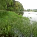 ryb. Tuksa, 23.5.2015, foto Vojtěch Kodet