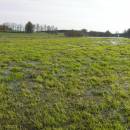Velký Klátův rybník, 22.4.2010, foto Vojtěch Kodet
