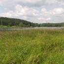 ryb. Židloch, PP Ptáčovské rybníky, 5.7.2010, foto Vojtěch Kodet