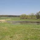 Bělokamenský mokřad, 16.4.2009, foto Vojtěch Kodet