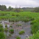 Frejlach, 15.5.2010, foto Vojtěch Kodet