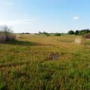 PR Na Oklice, 19.5.2014, foto Vojtěch Kodet