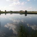 Starý ryb., PP Ptáčovské rybníky, 16.7.2009, foto Vojtěch Kodet