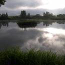 ryb. Dolní Bradlo, 1.7.2012, foto Vojtěch Kodet