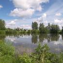 ryb. Dolní Bradlo, 7.6.2012, foto Vojtěch Kodet