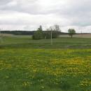 Šipnovský mokřad, 5.5.2009, foto Vojtěch Kodet