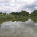 Termesivské rybníky, 21.7.2009, foto Vojtěch Kodet
