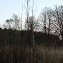 Kunický rybník, 18.4.2016, foto Vojtěch Kodet
