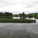 Nový Častotický rybník, 8.6.2009, foto Vojtěch Kodet