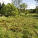 U Šeredů, 24.5.2012, foto Vojtěch Kodet