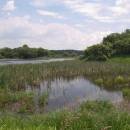 PP Starý Přísecký rybník, 25.6.2010, foto Vojtěch Kodet