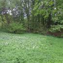 Nad Návozy, 9.7.2010, foto Vojtěch Kodet