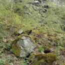 PR Zaječí skok, 30.4.2015, foto Svatava Kubešová
