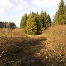 PP Hajnice, 30.10.2012, foto Vojtěch Kodet