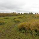 ryb. Bezděkov, 21.10.2016, foto Vojtěch Kodet