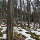 PP Čertův hrádek, 4.3.2012, foto Vojtěch Kodet
