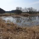 ryb. Smíchov, 28.3.2016, foto Vojtěch Kodet