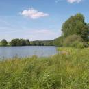 Třeštický rybník, 18.6.2009, foto Vojtěch Kodet