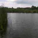 ryb. Maršovec, 4.6.2009, foto Vojtěch Kodet