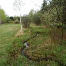 U Farského lesa, 4.5.2013, foto Vojtěch Kodet