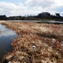 Třeštický rybník, 4.4.2015, foto Vojtěch Kodet