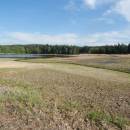 Černý rybník, 13.5.2015, foto Vojtěch Kodet