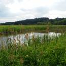 PP Černíč, 29.6.2013, foto Vojtěch Kodet